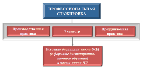 Срок реализации планов по организации применения профессиональных стандартов